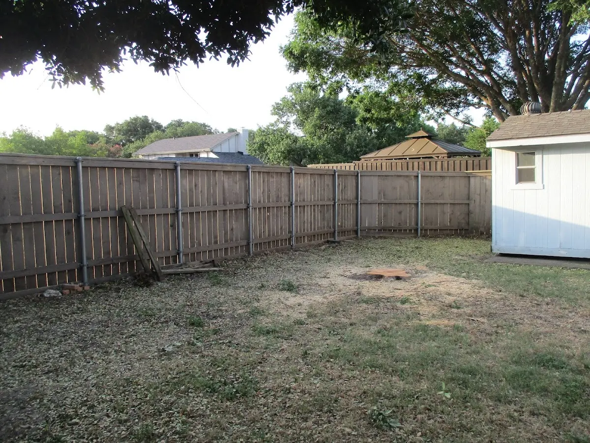 Cleared yard after professional tree removal in East Liverpool